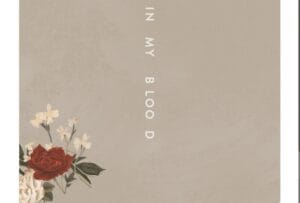 in-my-blood-di-shawn-mendes-testo-traduzione-e-audio