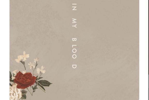 in-my-blood-di-shawn-mendes-testo-traduzione-e-audio