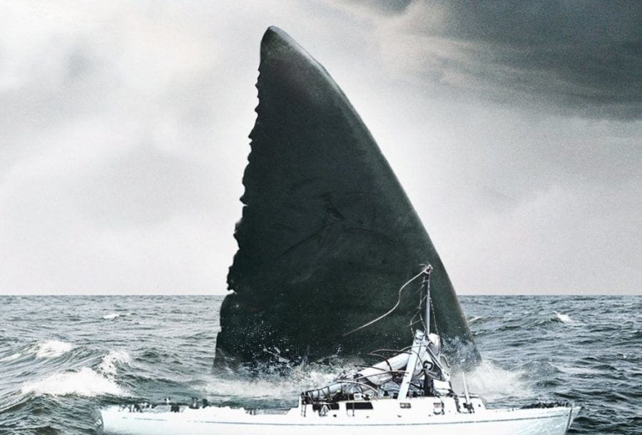 shark-il-primo-squalo
