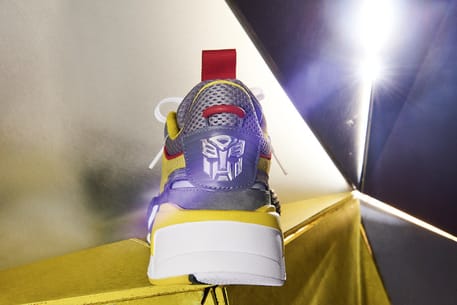 Puma Transformer