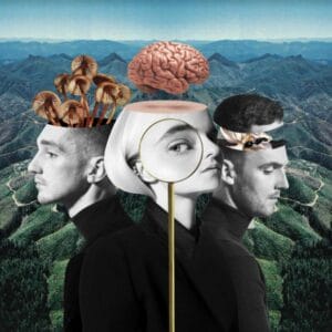 what-is-love-dei-clean-bandit