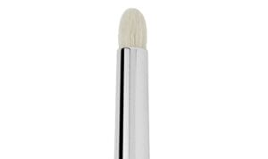 pennello-a-penna