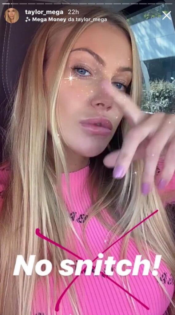 Taylor-Mega-su-Instagram-Story