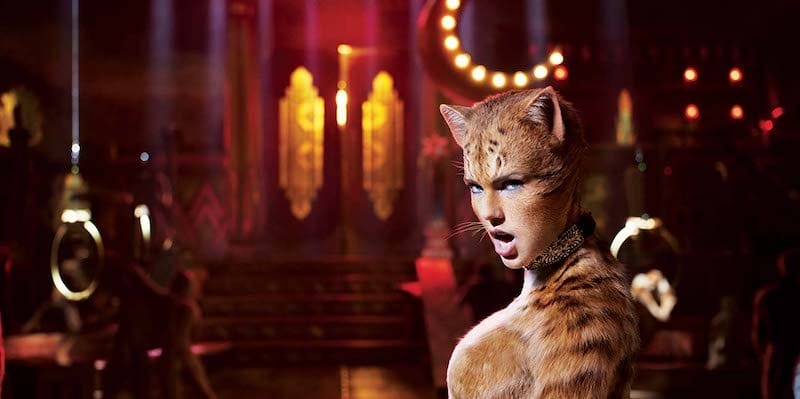 Cats-1