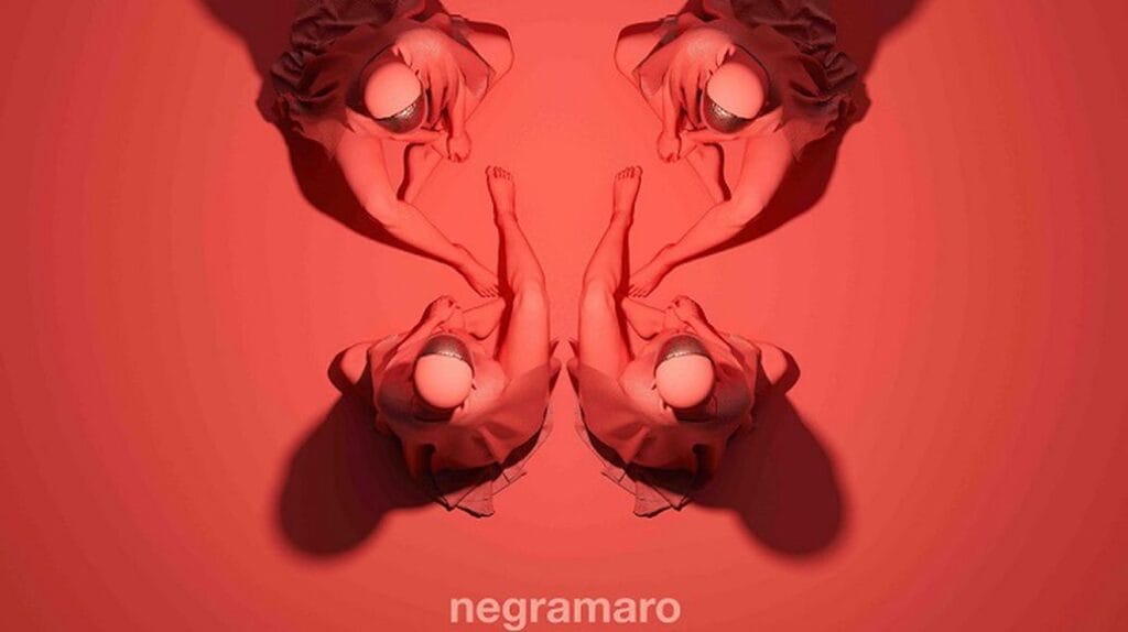 Contatto dei Negramaro