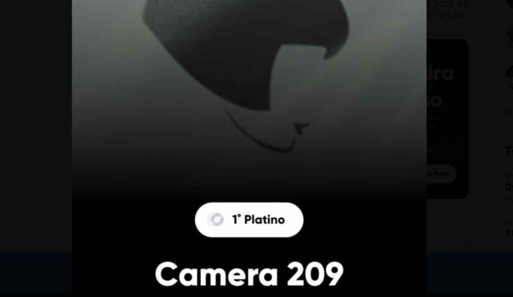 Camera-209-platino
